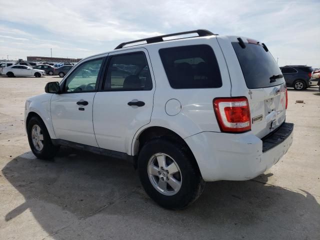 2011 Ford Escape XLT