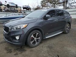 Salvage cars for sale at New Britain, CT auction: 2016 KIA Sorento EX