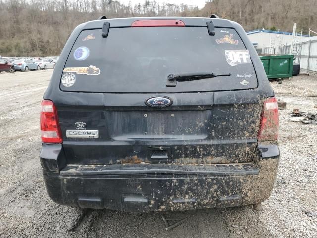 2010 Ford Escape XLT