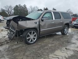 Cadillac salvage cars for sale: 2011 Cadillac Escalade ESV Premium