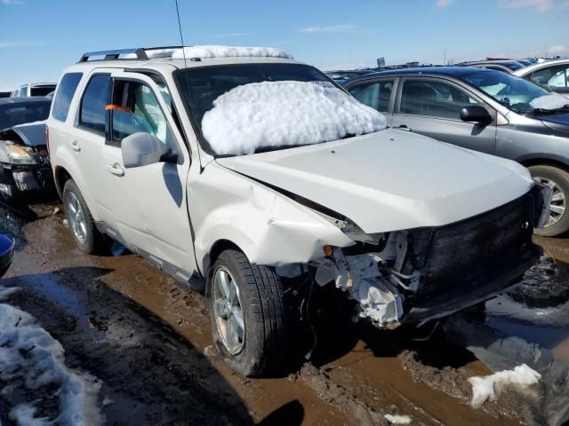 2011 Ford Escape Limited