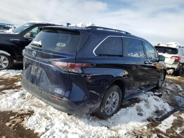 2023 Toyota Sienna XLE