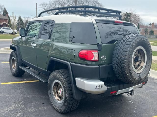 2010 Toyota FJ Cruiser