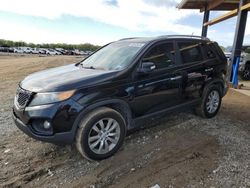 KIA Sorento EX Vehiculos salvage en venta: 2011 KIA Sorento EX