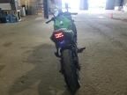 2023 Kawasaki EX650 P