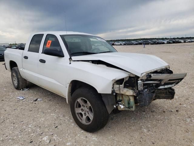 2006 Dodge Dakota Quattro