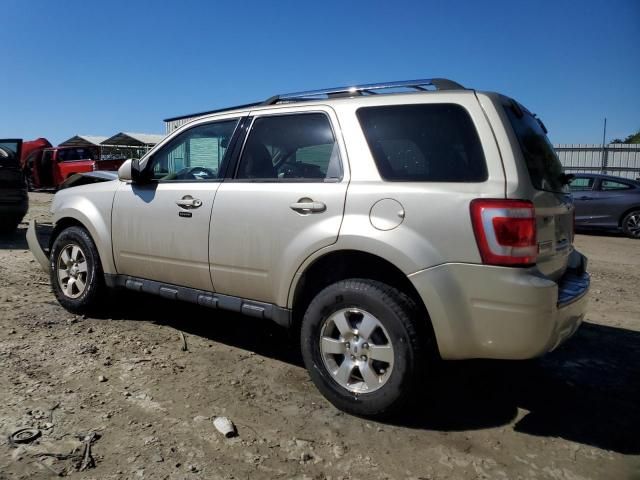 2010 Ford Escape Limited