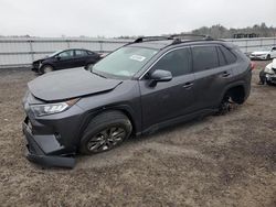 2021 Toyota Rav4 XLE Premium for sale in Fredericksburg, VA