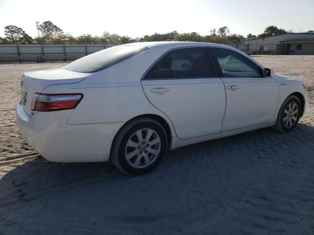 2008 Toyota Camry Hybrid