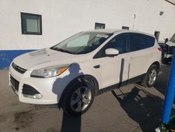 Ford Escape SE Vehiculos salvage en venta: 2013 Ford Escape SE