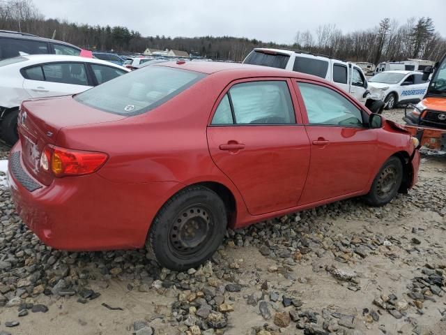 2010 Toyota Corolla Base