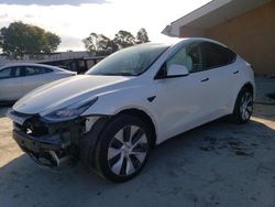 Vehiculos salvage en venta de Copart Hayward, CA: 2021 Tesla Model Y