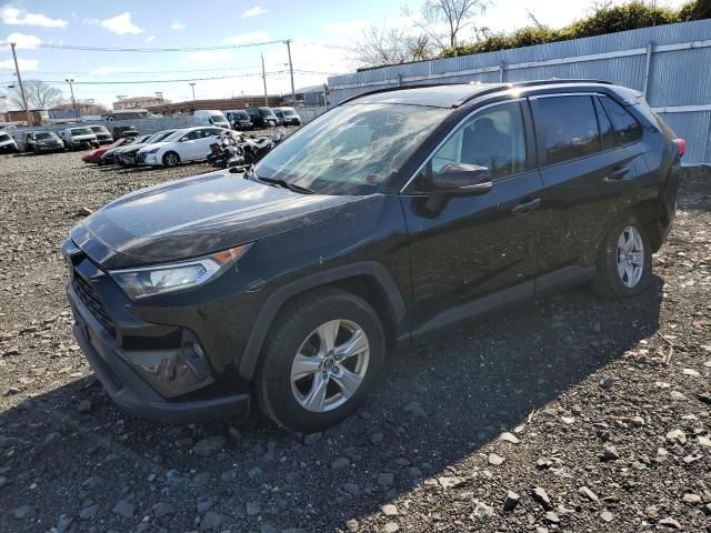 2019 Toyota Rav4 XLE