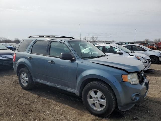 2010 Ford Escape XLT