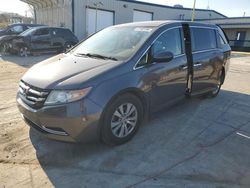 Salvage cars for sale from Copart Lebanon, TN: 2016 Honda Odyssey EXL
