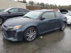 Scion TC salvage cars for sale: 2016 Scion TC