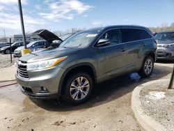 2014 Toyota Highlander XLE for sale in Louisville, KY
