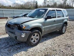 Ford Escape XLT Vehiculos salvage en venta: 2006 Ford Escape XLT