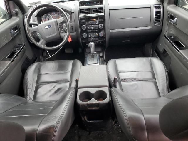 2010 Ford Escape Limited