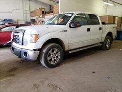 Salvage cars for sale from Copart Ham Lake, MN: 2011 Ford F150 Supercrew