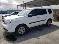 Honda salvage cars for sale: 2014 Honda Pilot LX