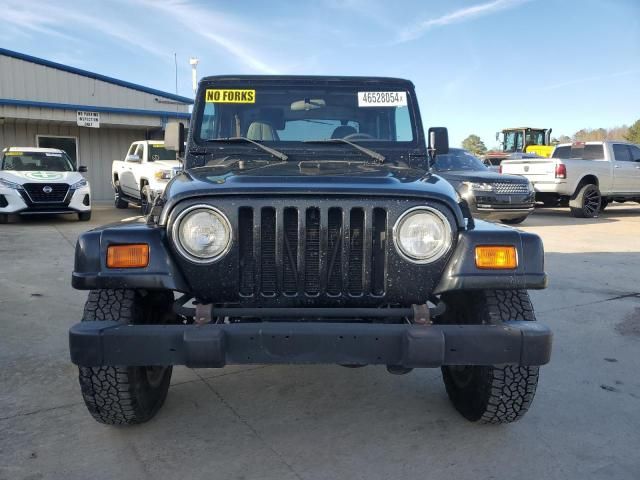 2001 Jeep Wrangler / TJ Sahara