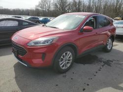 Salvage cars for sale from Copart Glassboro, NJ: 2020 Ford Escape SE