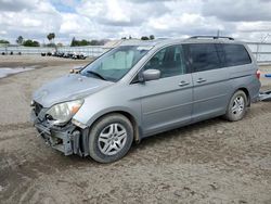 Salvage cars for sale from Copart Bakersfield, CA: 2007 Honda Odyssey EXL