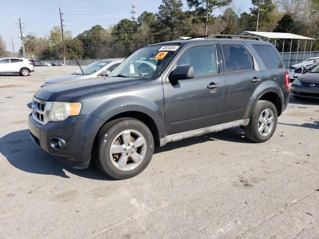 2009 Ford Escape XLT