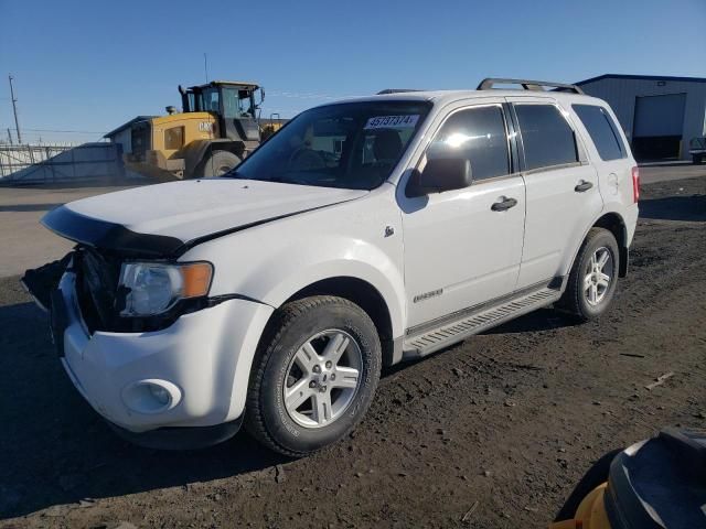 2008 Ford Escape HEV