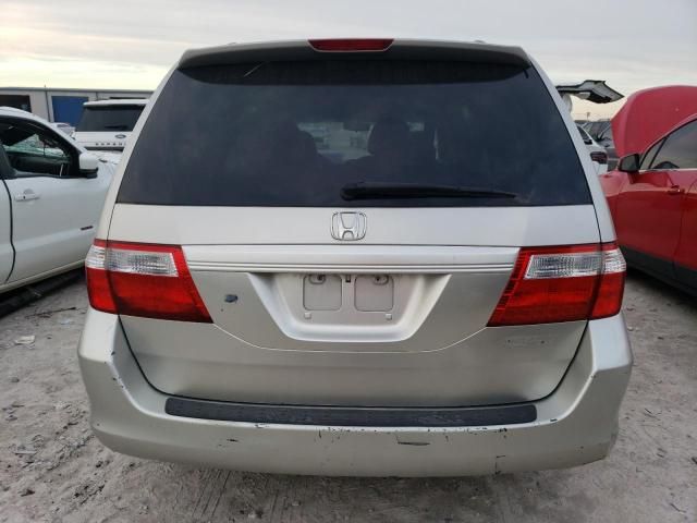 2005 Honda Odyssey EXL