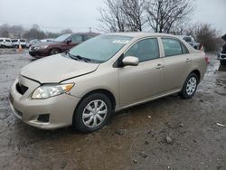 Salvage cars for sale from Copart Baltimore, MD: 2009 Toyota Corolla Base