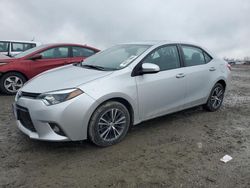 Toyota Vehiculos salvage en venta: 2016 Toyota Corolla L