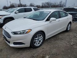 Salvage cars for sale from Copart Columbus, OH: 2013 Ford Fusion SE