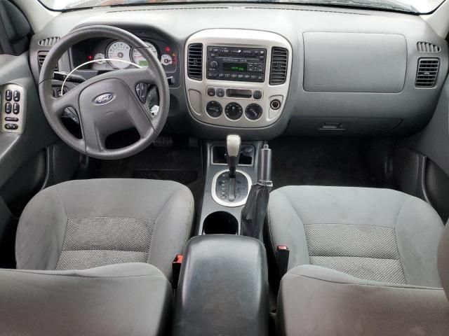 2007 Ford Escape XLT