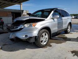 Honda salvage cars for sale: 2010 Honda CR-V EXL