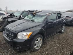 Dodge Caliber salvage cars for sale: 2008 Dodge Caliber SXT