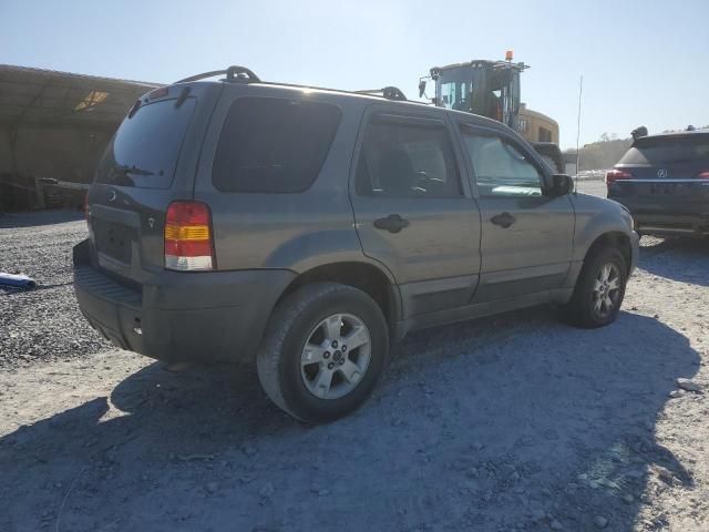 2006 Ford Escape XLT