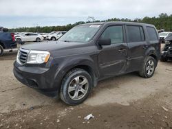 Salvage cars for sale at Greenwell Springs, LA auction: 2012 Honda Pilot EXL