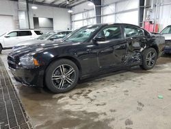 Salvage cars for sale at Ham Lake, MN auction: 2014 Dodge Charger R/T