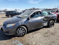 Vehiculos salvage en venta de Copart Hillsborough, NJ: 2010 Toyota Corolla Base