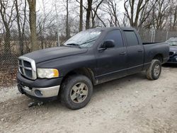 Salvage cars for sale from Copart Cicero, IN: 2003 Dodge RAM 1500 ST