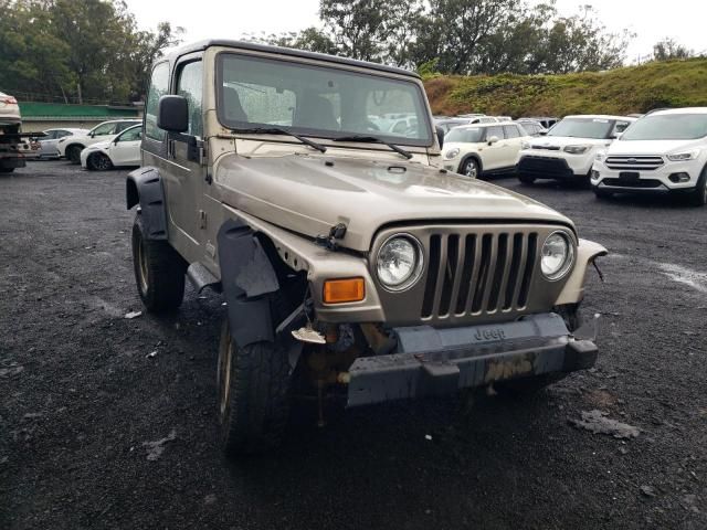 2003 Jeep Wrangler / TJ SE