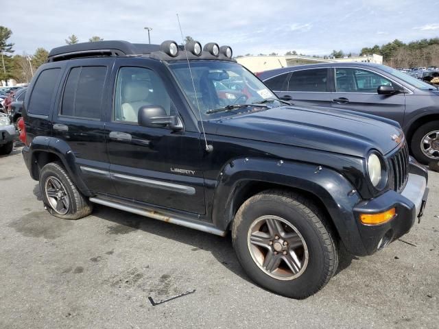 2004 Jeep Liberty Renegade