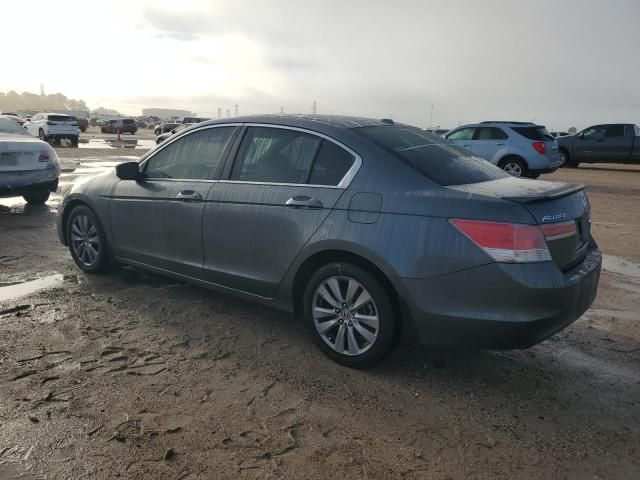 2011 Honda Accord EXL