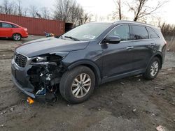 Salvage cars for sale at Baltimore, MD auction: 2019 KIA Sorento L