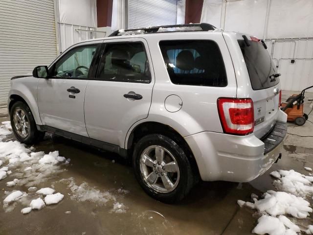 2011 Ford Escape XLT