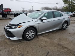 Salvage cars for sale from Copart Lexington, KY: 2020 Toyota Camry LE