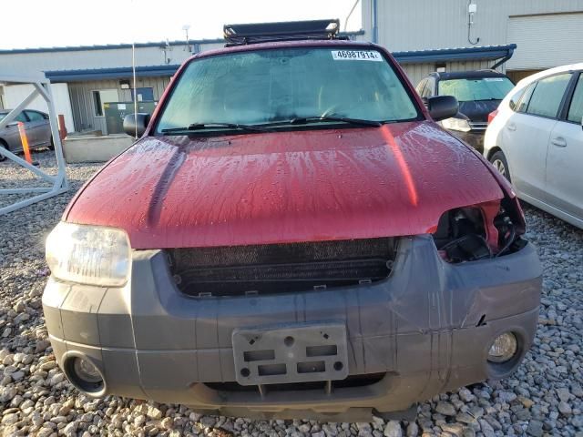 2005 Ford Escape XLT