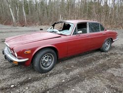 Salvage cars for sale at Bowmanville, ON auction: 1977 Jaguar XJ12L